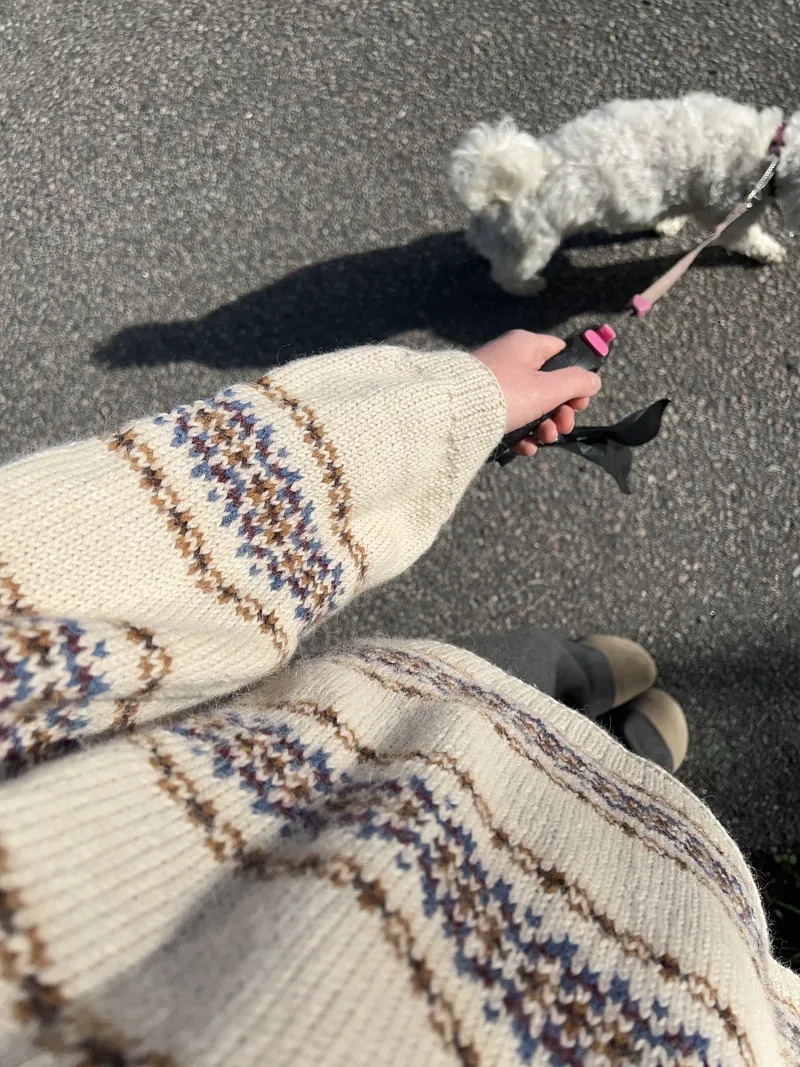Tur med en liten hvit hund i sola, med ermet på en lys mønsterstrikket kofte i forgrunnen